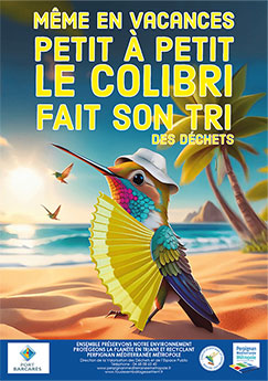 aff_colibri_vacances_small